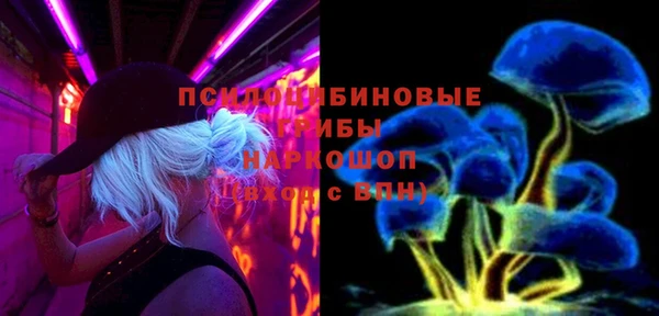 амф Алзамай