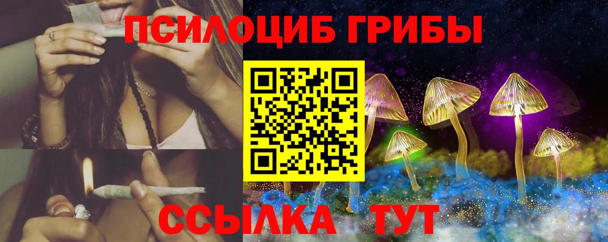 Мыски  Галлюциногенные грибы ЛСД  Вход с VPN 